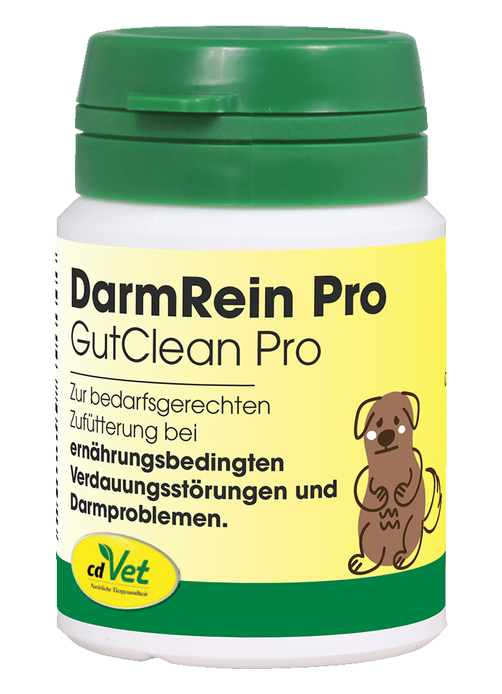 DarmRein Pro 20 g -Sorbe