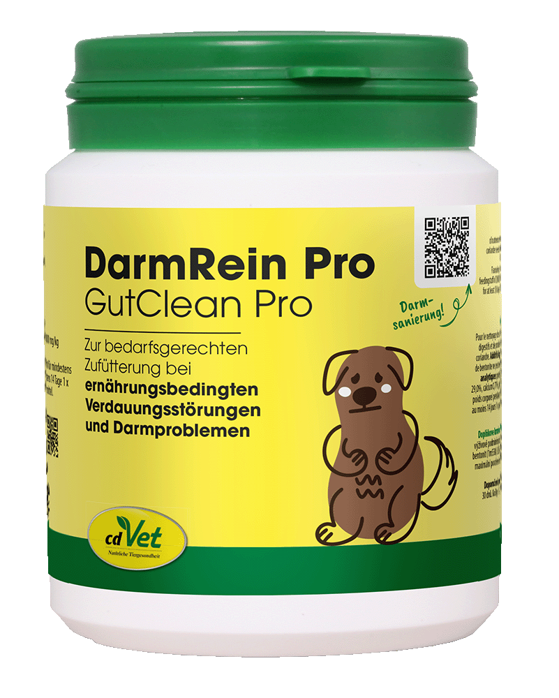 DarmRein Pro 100 g