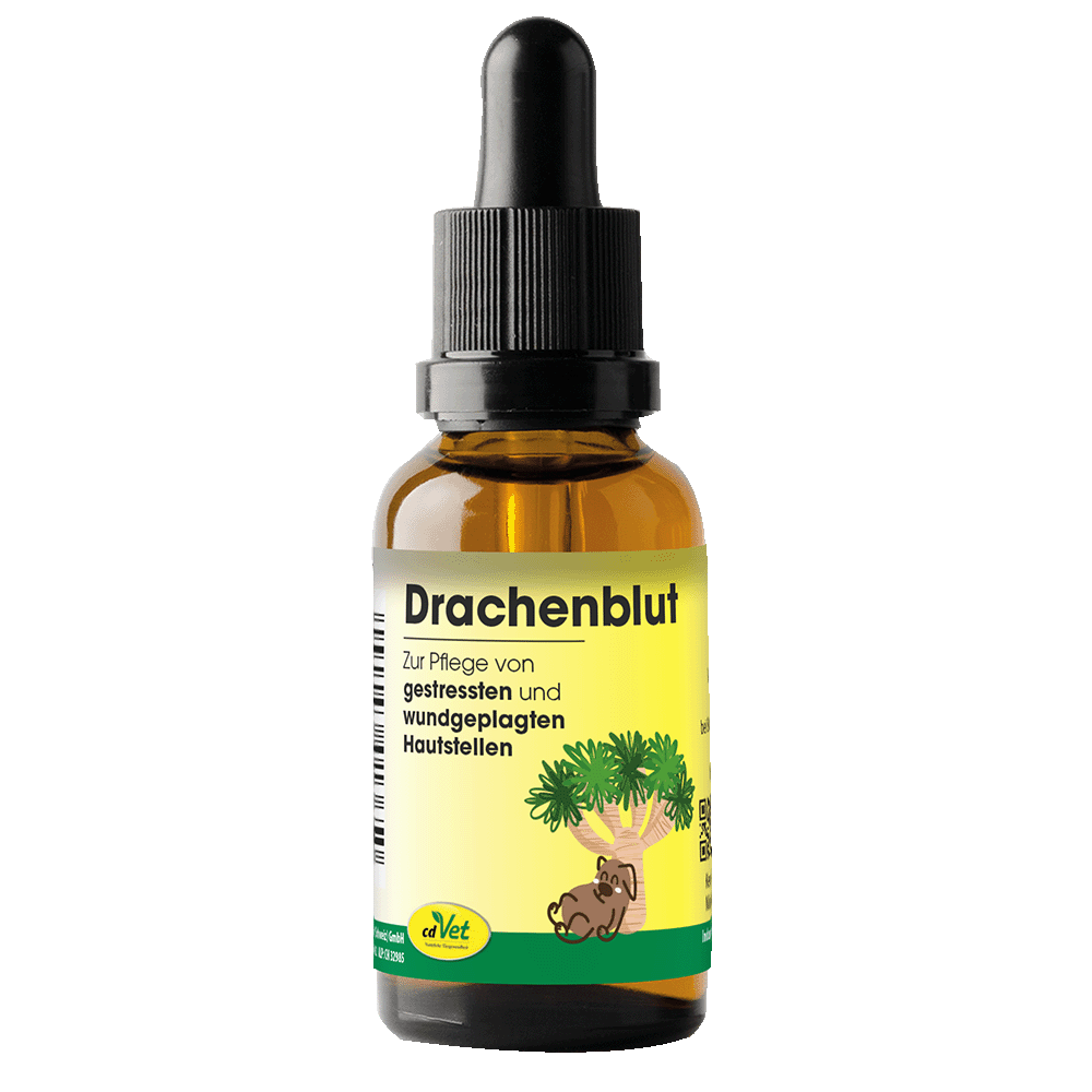 Drachenblut 20 ml