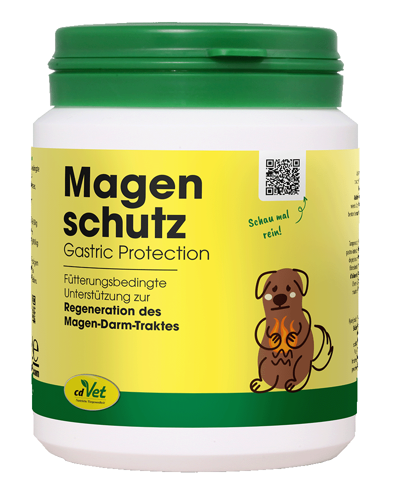 Magenschutz 60 g
