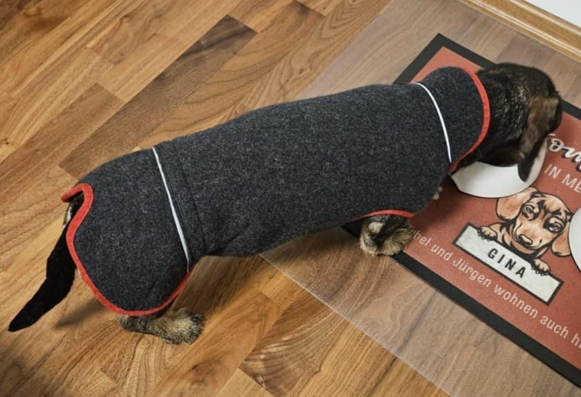 Walkmantel aus Walkloden für Standarddackel – Natur pur, vom Tier fürs Tier