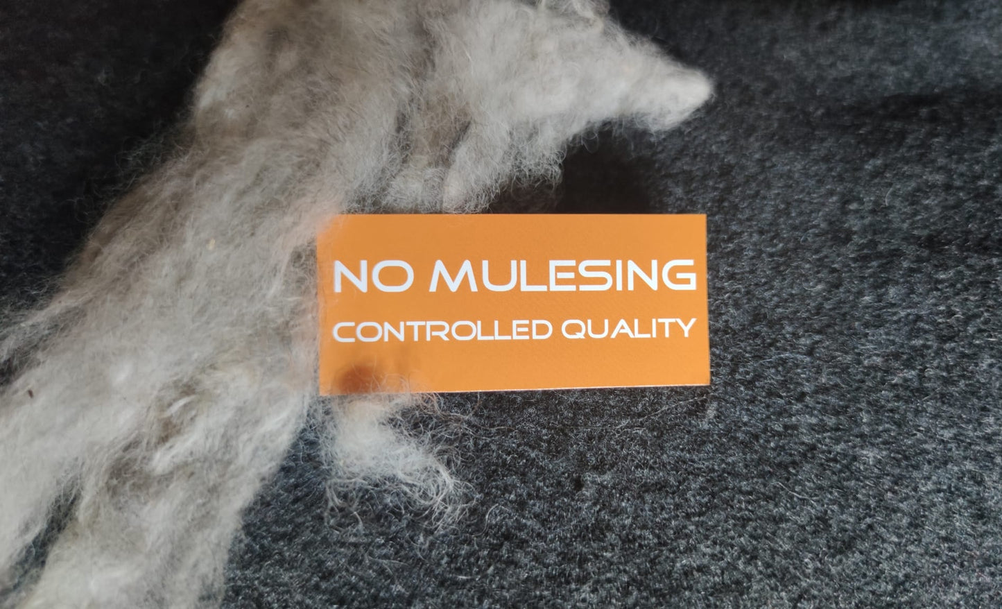 Kein Mulesing Kontrollierte Qualität