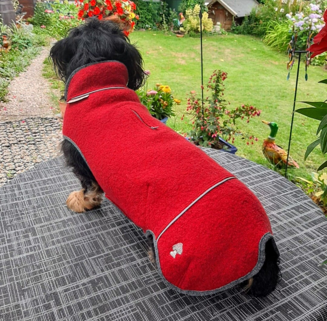 Roter Walkmantel für Dackel