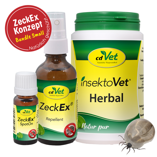 Bundle ZeckEx-Konzept Small