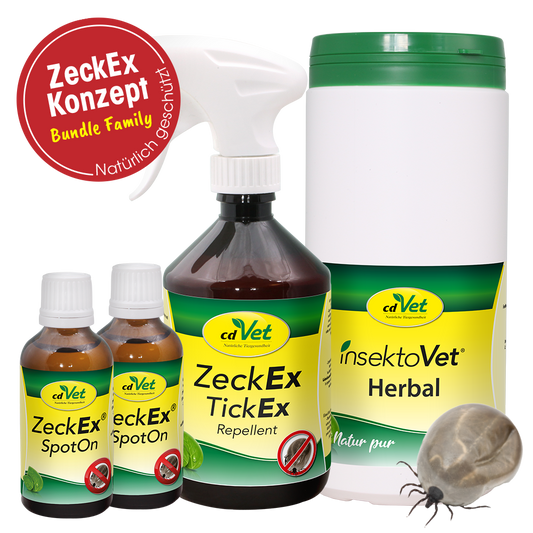 Bundle ZeckEx-Konzept Family