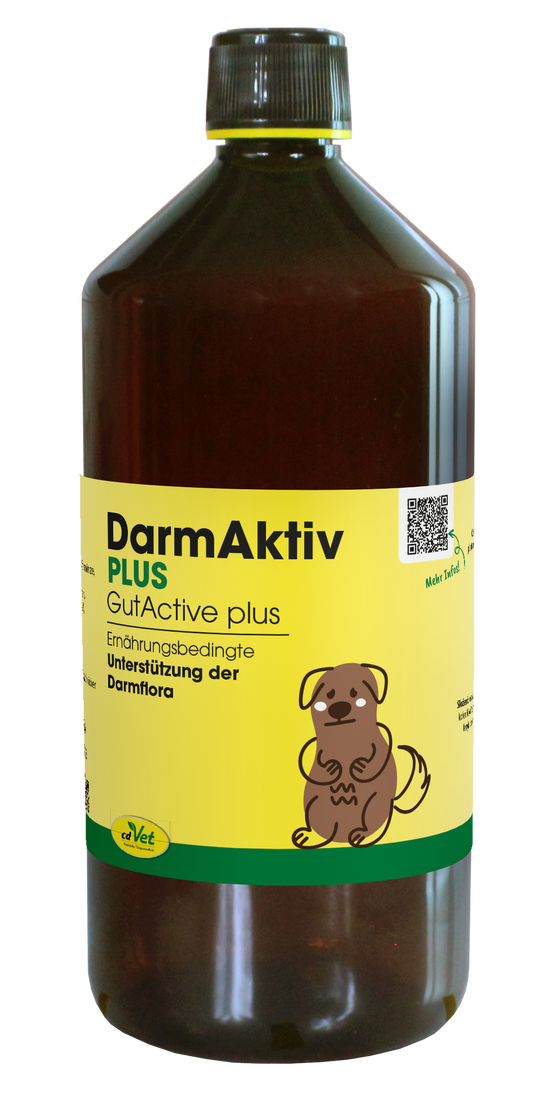 DarmAktiv plus 1 L
