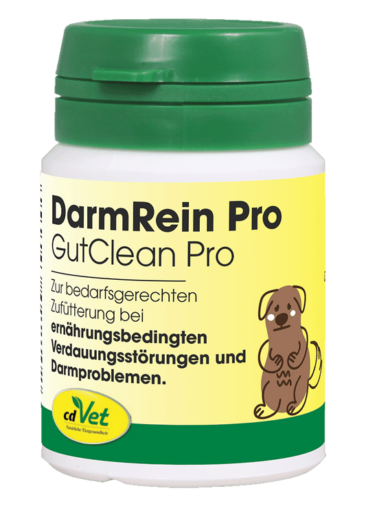 DarmRein Pro 20 g -Sorbe