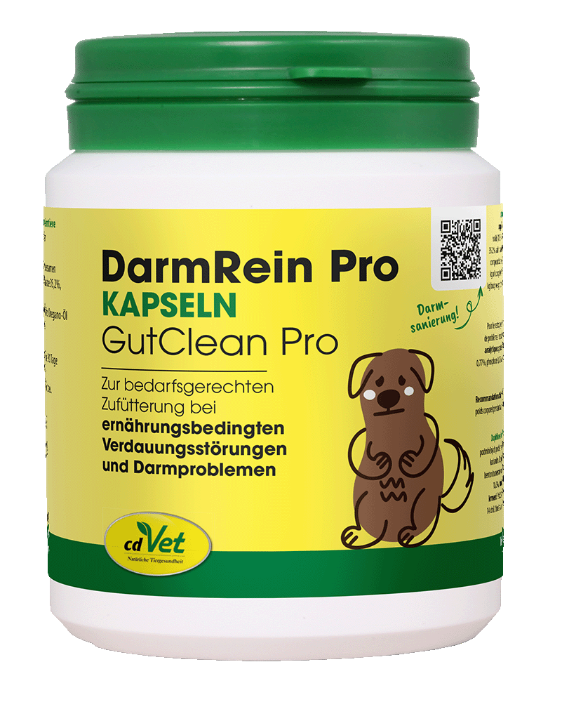 DarmRein Pro 100 Kapseln