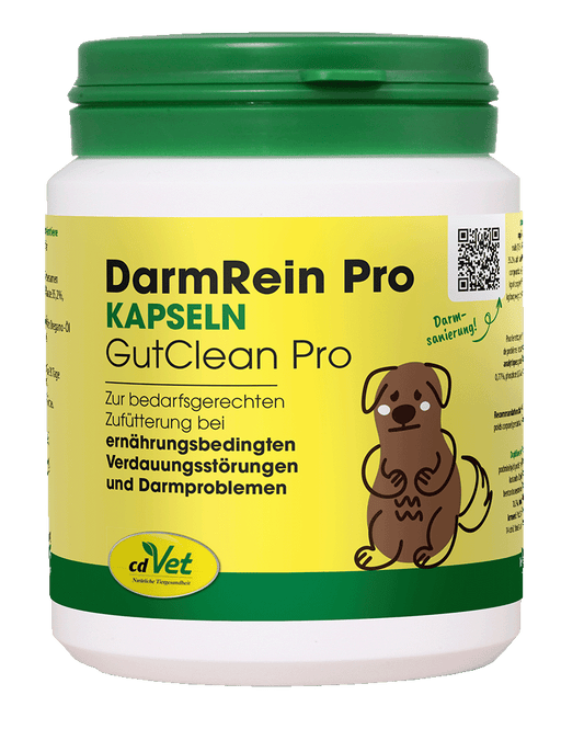 DarmRein Pro 100 Kapseln