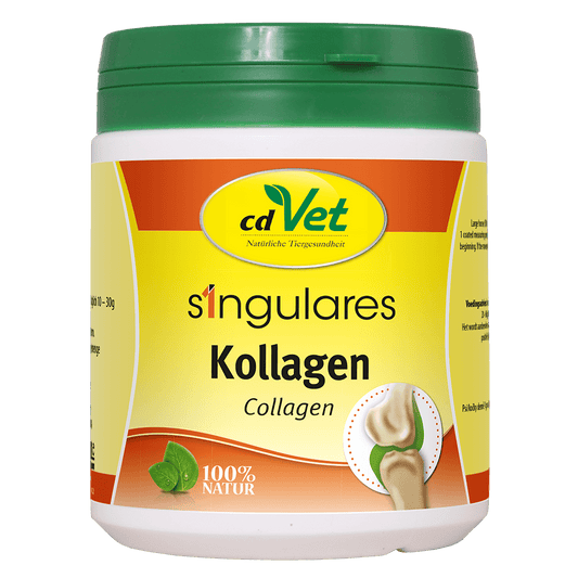 Singulares Kollagen 250 g